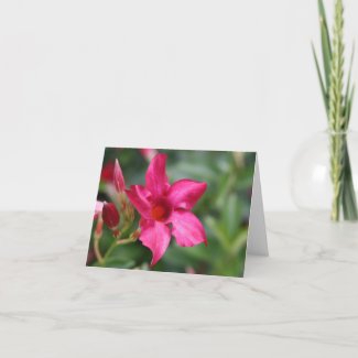 Beautiful in pink - flower note card card