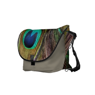 Beautiful Iridescent Peacock Feather