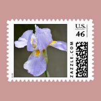Beautiful Iris stamps