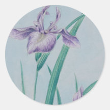Beautiful Iris Round Sticker