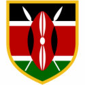 Beautiful Kenya flag t-shirts