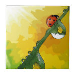 Beautiful ladybug ceramic tiles