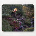Beautiful landscape mousepad by design_girl Beautiful landscape mousepad