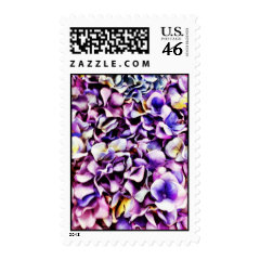 Beautiful Lavender Purple Hydrangea Flower Petals Postage Stamps
