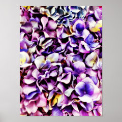 Beautiful Lavender Purple Hydrangea Flower Petals Poster