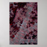 Beautiful Lavender soft coral tree Print