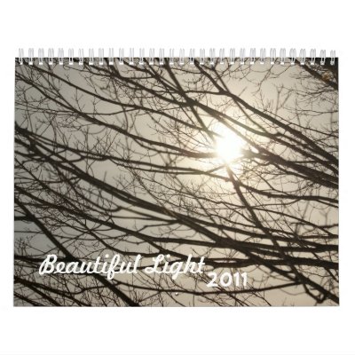 Beautiful light 2011 calendar by 2011calendars