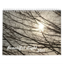 Beautiful light 2011 calendar