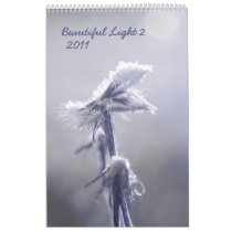 Beautiful light 2 - 2011 calendar