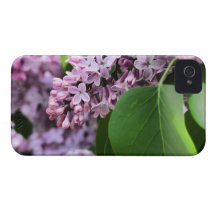 Beautiful Lilac Bloom iPhone 4 Case-Mate Cases