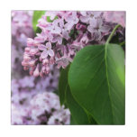 Beautiful Lilac Bloom tiles