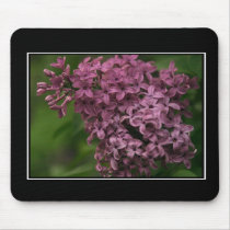 Beautiful Lilac Mousepad! (with border) by zolojetto Beautiful Lilac Mousepad! (with border)