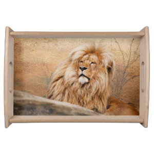 Beautiful Lion Serving Tray