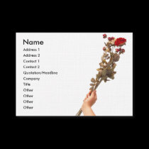 Beautiful Long Stem Red Roses In Hand profile cards