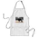 Beautiful Longhorn aprons