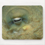 Beautiful Looking into the eye of a reef octopus Mousepads