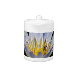 Beautiful lotus flowers and meaning