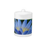 Beautiful lotus flowers and meaning