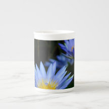 Beautiful lotus flowers and meaning bone china mug