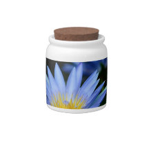 Beautiful lotus flowers and meaning candy dish