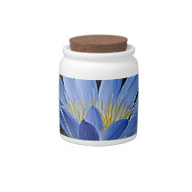 Beautiful lotus flowers and meaning candy jars