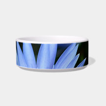 Beautiful lotus flowers and meaning cat bowls