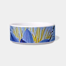 Beautiful lotus flowers and meaning cat food bowls
