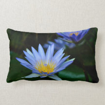 Beautiful lotus flowers and meaning pillow