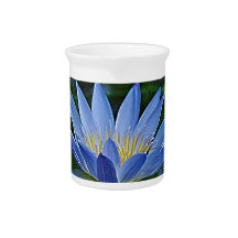 Beautiful lotus flowers and meaning beverage pitchers