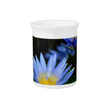 Beautiful lotus flowers and meaning beverage pitcher