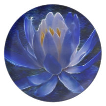 Beautiful lotus flowers and meaning plates