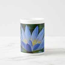 Beautiful lotus flowers and meaning porcelain mugs