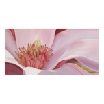 Beautiful Magnolia Posters