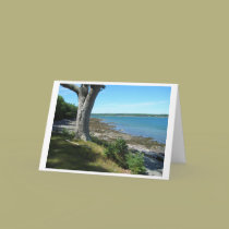 Beautiful Maine cards by mrlizard Beautiful Maine cards
