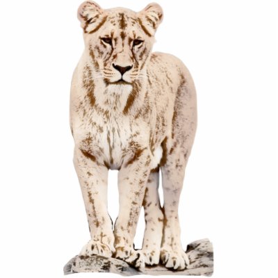 Beautiful Majestic Lioness Photo Sculptures by willowdewisp