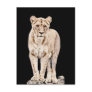 Beautiful Majestic Lioness Post Card
