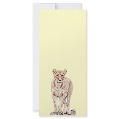 Beautiful Majestic Lioness Full Color Rack Card by willowdewisp