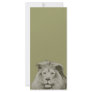 Beautiful Male Lion Rack Card Design