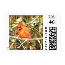 Beautiful Male Stamp Small