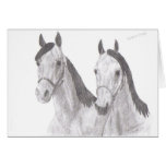 Beautiful Mares Horse Drawings Greeting Cards