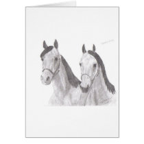 Beautiful Mares Horse Drawings cards