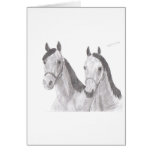 Beautiful Mares Horse Drawings cards