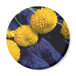 Beautiful Marigolds, on fabric