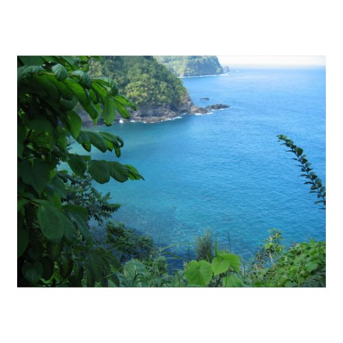 Beautiful Maui Ocean print