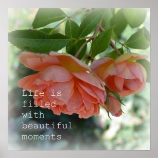 Beautiful Moments Poster print