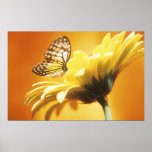 Beautiful Monarch Butterfly on a Flower Print