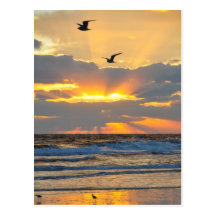 Beautiful Morning Beach Sunrise Scenery Postcard