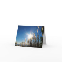 Beautiful Morning Grass Notecard by Bismillah101 Beautiful Morning Grass Notecard