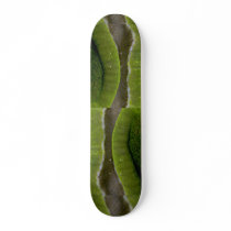 Beautiful Mouth-like edges of an Indonesian carpet Skateboard Deck
