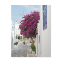 Beautiful Mykonos Post Cards